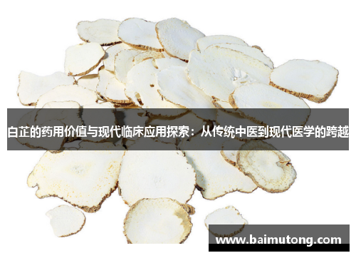 白芷的药用价值与现代临床应用探索：从传统中医到现代医学的跨越