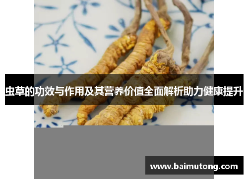 虫草的功效与作用及其营养价值全面解析助力健康提升