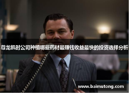 尊龙凯时公司种植哪些药材最赚钱收益最快的投资选择分析